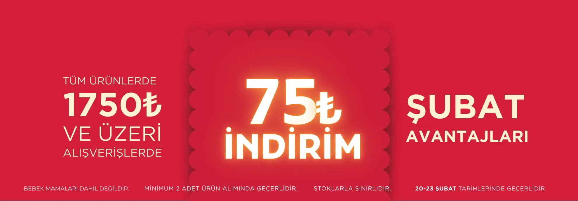 Mikro kampanya 20 Şubat