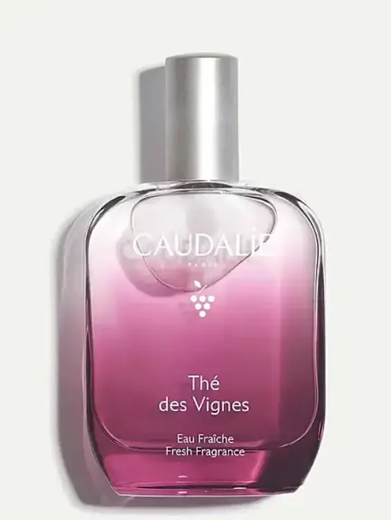 Thé des Vignes