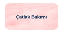 Çatlak Bakımı