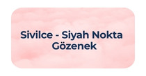 Sivilce ve Gözenek Bakımı