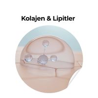 Kolajen ve Lipitler