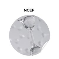 NCEF