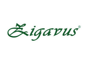 Zigavus