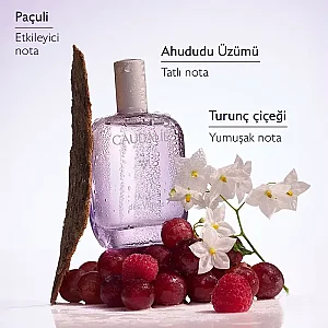Caudalie Ange des Vignes Parfüm 50 ml - 4