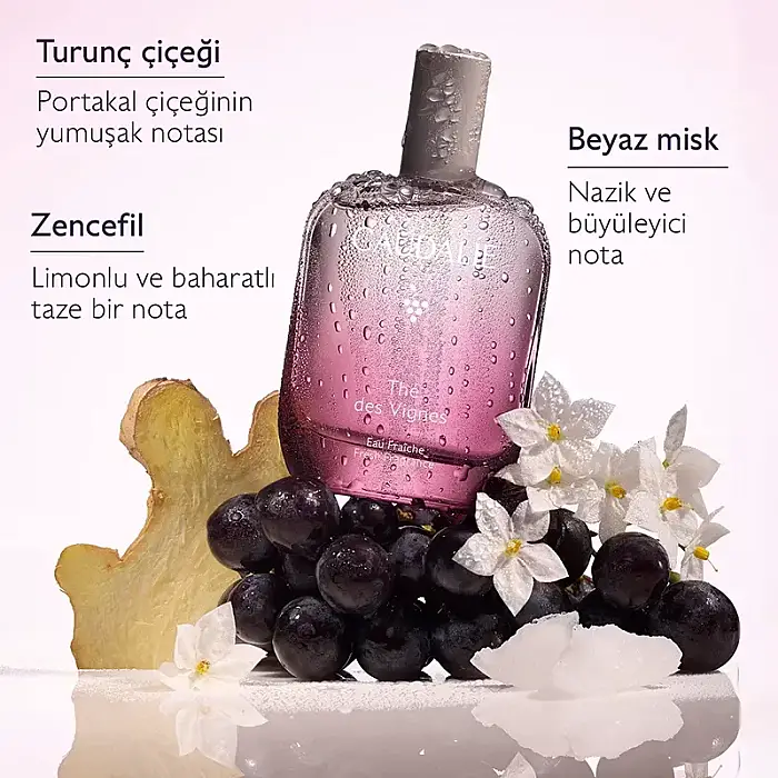 Caudalie The des Vignes Aromalı Parfüm 50 ml - 4