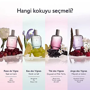 Caudalie The des Vignes Aromalı Parfüm 50 ml - 6