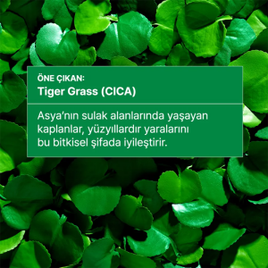 Dr. Jart+ Cicapair Tiger Grass Cildi Yatıştırmaya Yardımcı Solüsyon SPF35 30 ml - 6