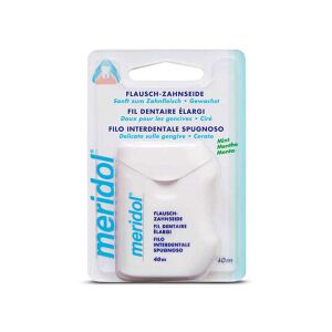 Meridol Diş Eti Bakımı Diş İpi 40 m - Meridol