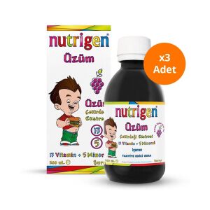 Nutrigen Üzüm Çekirdeği Ekstreli Pediatrik Şurup 200 ml x3 - Nutrigen