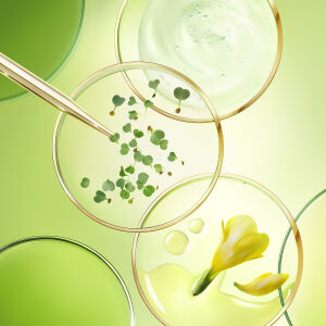 Nuxe Nuxuriance Ultra Yaşlanma Karşıtı Bakım Kremi 50 ml - 3