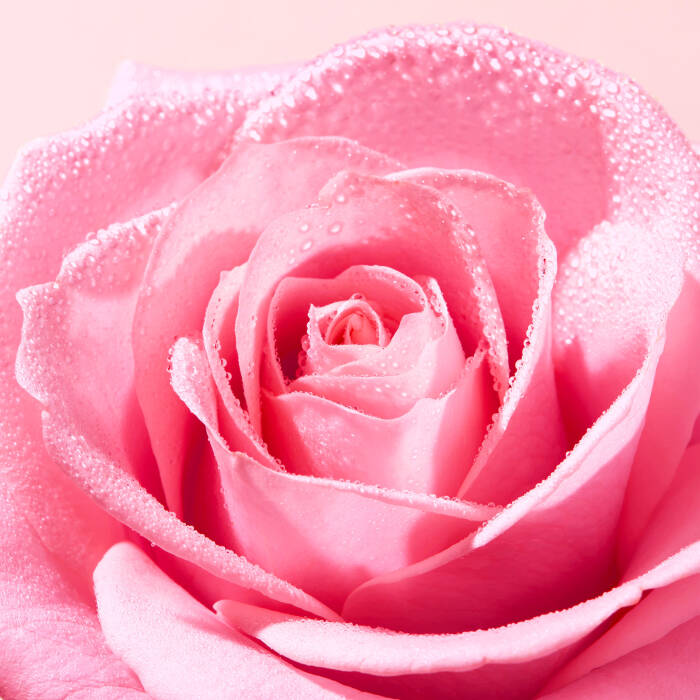 Nuxe Very Rose Yüz Peelingi 75 ml - 4