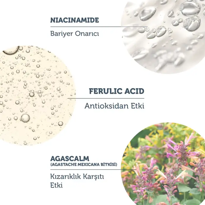 The Purest Solutions Bariyer Güçlendirici ve Yatıştırıcı B Vitamini Cilt Bakım Serumu 30 ml - 4