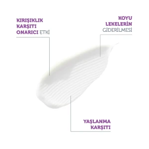The Purest Solutions Yaşlanma Karşıtı ve Kırışıklık Giderici, Onarıcı Retinol Gece Serumu 30 ml - 2