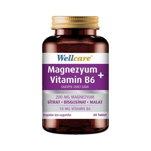 Wellcare Magnezyum + Vitamin B6 60 Tablet - Wellcare