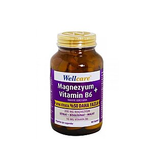 Wellcare Magnezyum + Vitamin B6 90 Tablet - Wellcare