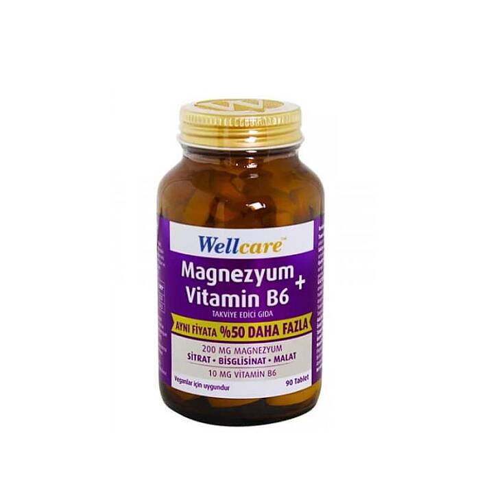 Wellcare Magnezyum + Vitamin B6 90 Tablet - 1