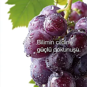 ya da Multicosmetics Viniferine Cilt Yenileyici ve Aydınlatıcı Serum 30 ml - 6