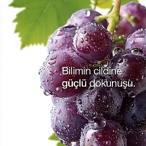 ya da Multicosmetics Viniferine Cilt Yenileyici ve Sıkılaştırıcı Tonik 150 ml - 6